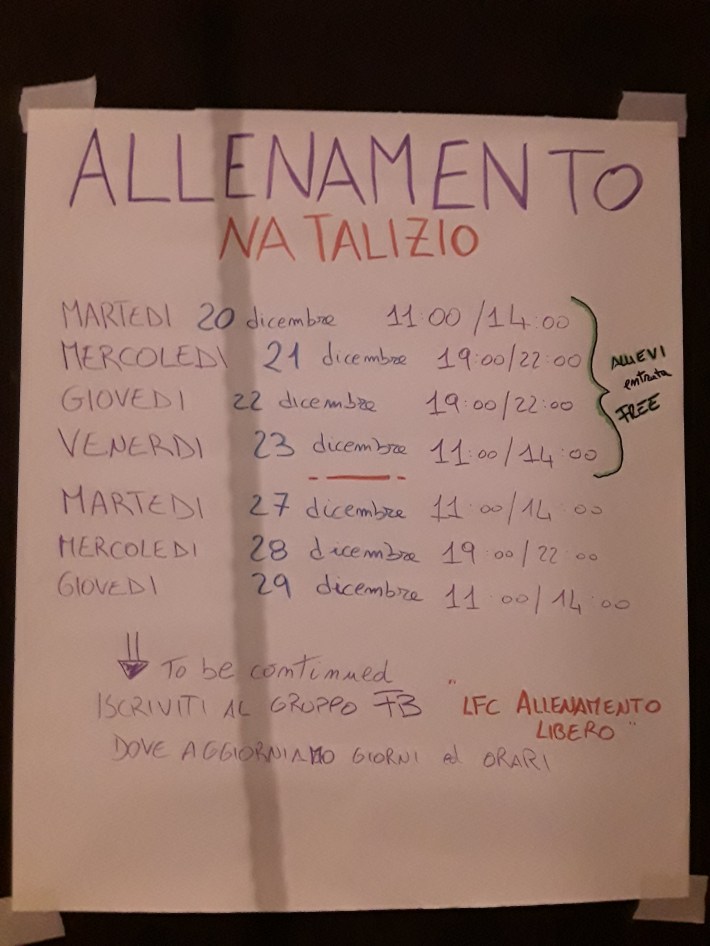 allenamento-libero-torino-la-fucina-del-circo-allenamento-libero-acrobatica-aerea-discipline-aeree-tessuto-aereotrapezio-amaca-cerchio