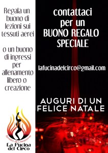 buono-per-natale-2016-la-fucina-del-circo-torino-discipline-aeree-tessuti-aerei-regalo-allenamento-libero-spazio-prove-lezioni-regalo-scuola-corsi-trapezio-corda